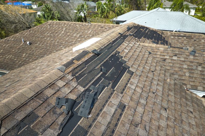 Damaged Roof Replacement detail